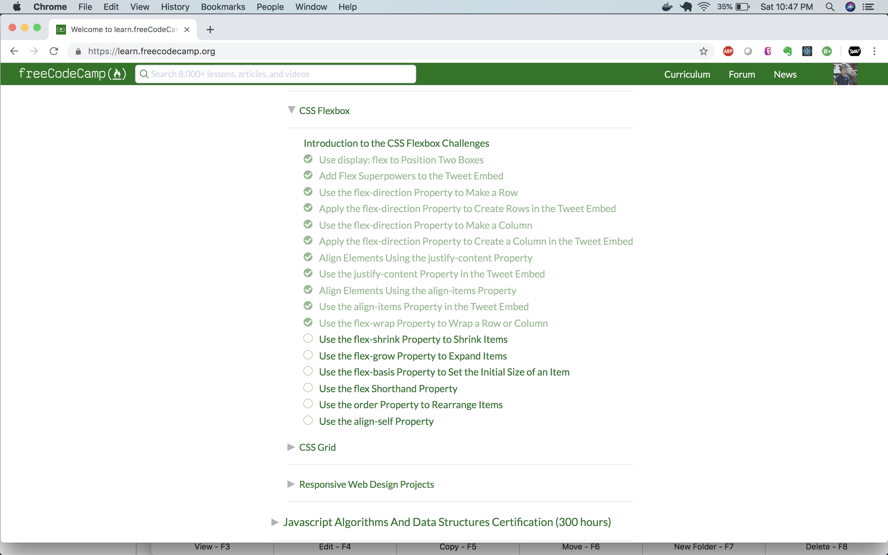 CSS Flexbox